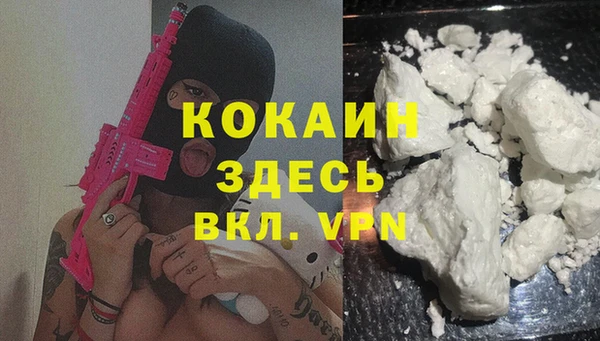 PSILOCYBIN Туринск