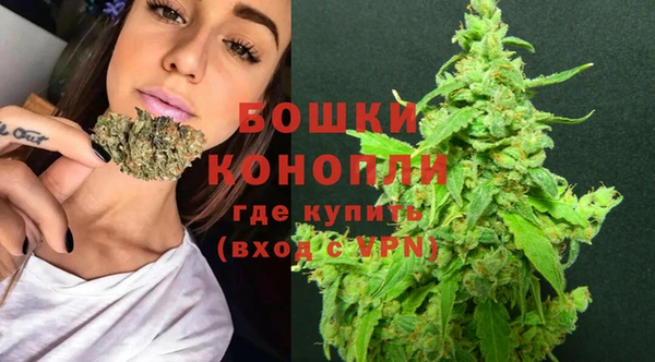 мдпв Бородино