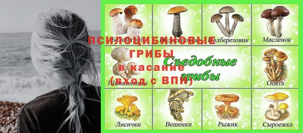 мдпв Бородино