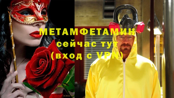 PSILOCYBIN Туринск