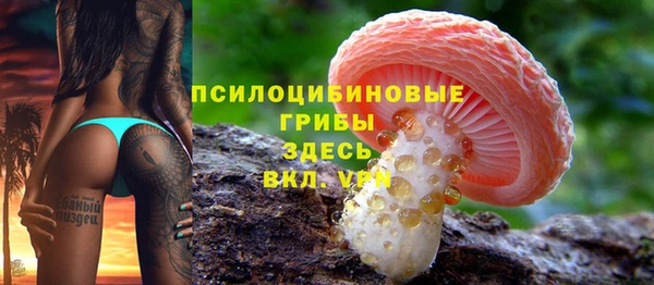 мдпв Бородино