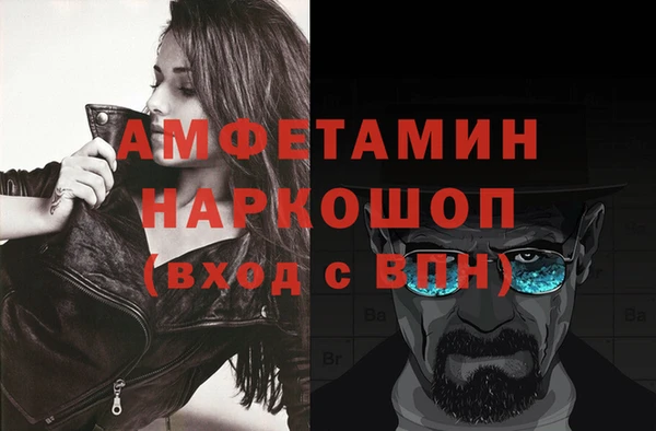 мдпв Бородино