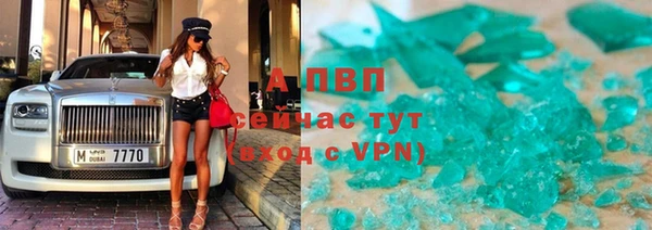 мдпв Бородино