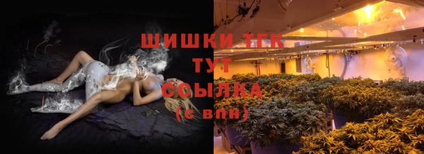 мдпв Бородино