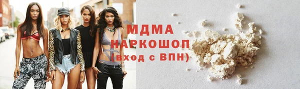 мдпв Бородино
